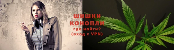 шишки Армянск
