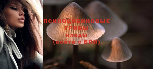 шишки Армянск