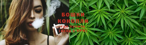 шишки Армянск